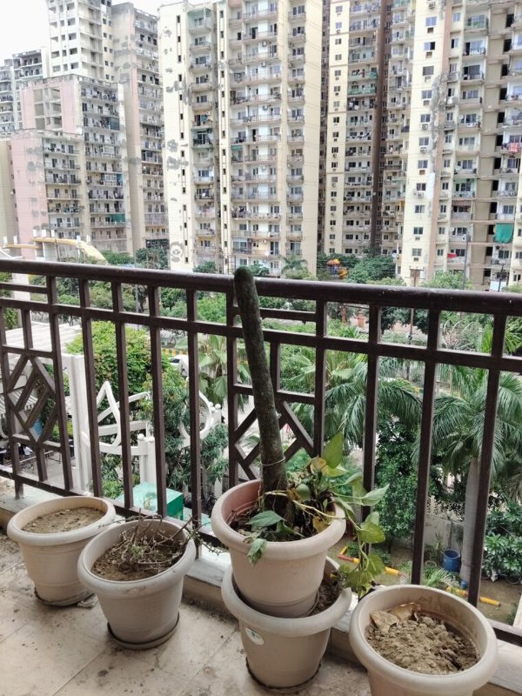 Balcony, jm-orchid 3.5 Bedroom 1752 Sq.Ft. Apartment In Sector 76 Noida 10545031