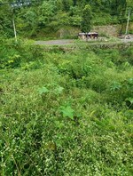 346 Sq.Yd. Plot in Rajeshwar Nagar Phase 1