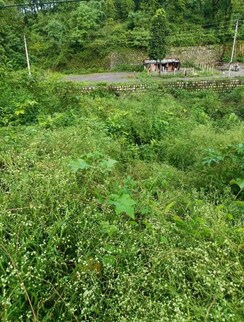 Plot For Sale in Rajeshwar Nagar Phase 1