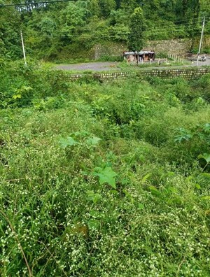  Plot For Sale in Rajeshwar Nagar Phase 1