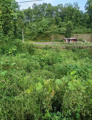 Plot Area in  Plot at Rajeshwar Nagar Phase 1 – for Sale