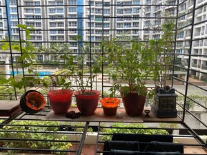 2 BHK Apartment – Exterior View View at Shree Balaji  Om Harmony, Kharghar - for Rent