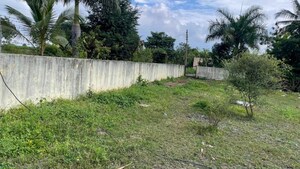 Plot Area in  Shop at Shirur – for Sale