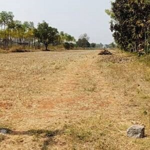  Land For Rent in Nayandahalli