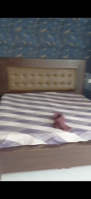 Bedroom in 3 BHK Apartment at US Pine Homes, Dhakoli – for Rent