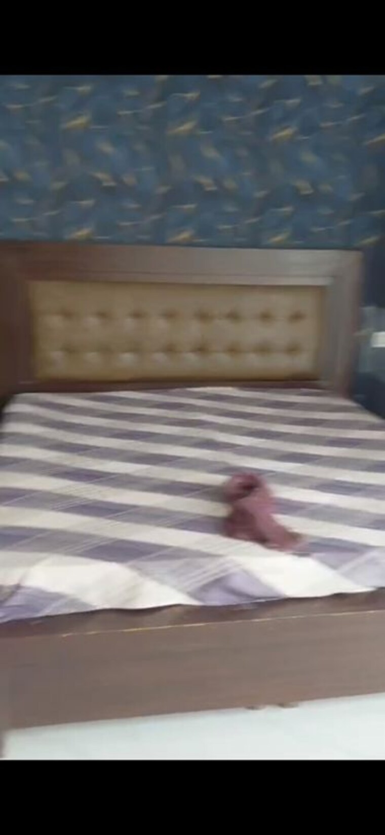 Bedroom, us-pine-homes 3 Bedroom 1960 Sq.Ft. Apartment In Dhakoli Zirakpur 10546462