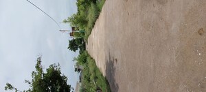 Plot Area in  Plot at Gwalior Road – for Sale