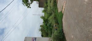 Plot Area in  Plot at Gwalior Road – for Sale