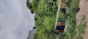 Plot Area in  Plot at Gwalior Road – for Sale