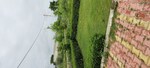 100 Sq.Yd. Plot in Gwalior Road
