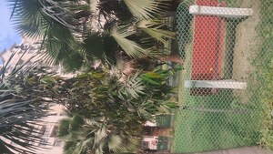 2.5 BHK Apartment – Exterior View View at Amrapali Silicon City, Sector 76 - for Sale