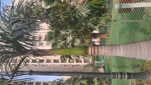 2.5 BHK Apartment – Exterior View View at Amrapali Silicon City, Sector 76 - for Sale