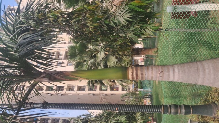 Exterior View, amrapali-silicon-city 2.5 Bedroom 1180 Sq.Ft. Apartment In Sector 76 Noida 10547111