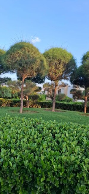  Plot – Garden View at Jait - for Sale