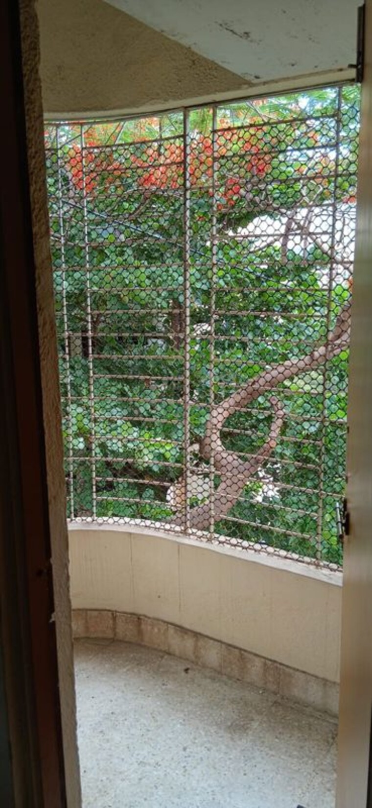 Balcony, kachnar-chs-vasant-vihar 1 Bedroom 650 Sq.Ft. Apartment In Vasant Vihar Thane 10547197
