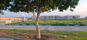 Plot Area in  Plot at Jait – for Sale