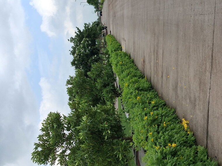 Garden, skye-gardens  1000 Sq.Ft. Plot In Mayakhedi Indore 10547254