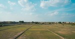 300 Sq.Yd. Plot in Dholera