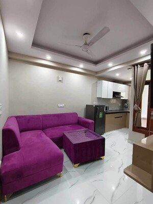 Team Area in 1 BHK Builder Floor at Saket – for Rent