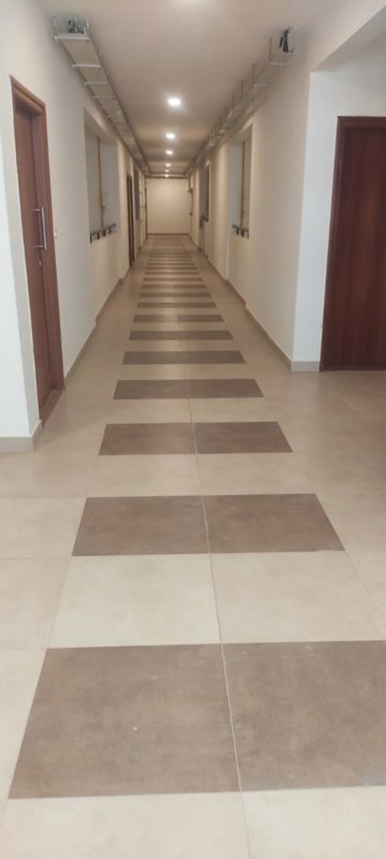 undefined, salarpuria-sattva-aeropolis 1 RK 595 Sq.Ft. Apartment In Devanahalli Bangalore 10547901