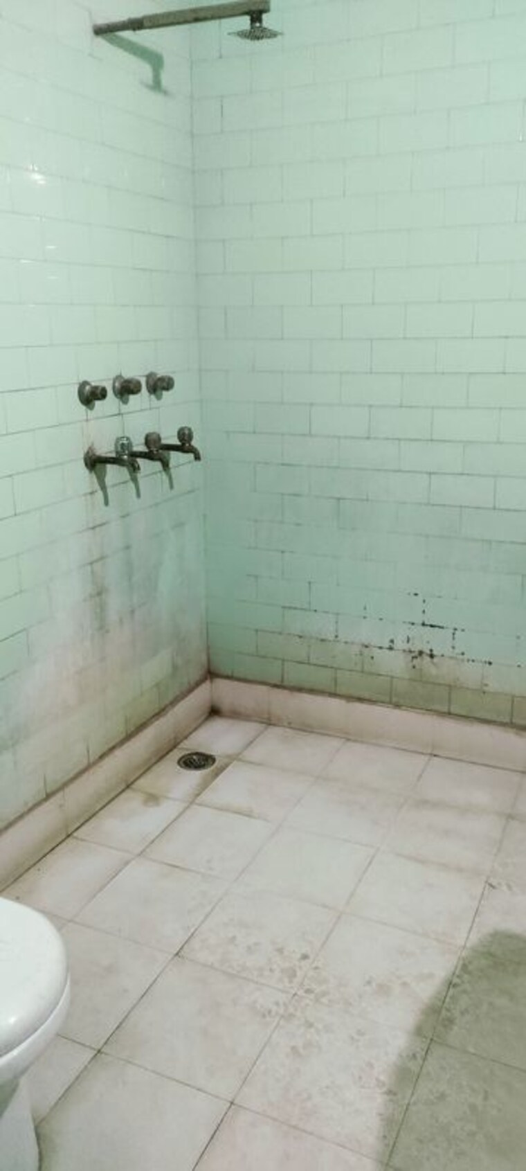 Bathroom, sector 37 3 Bedroom 2700 Sq.Ft. Independent House In Sector 37 Faridabad 10470512