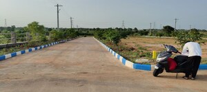 Plot Area in  Plot at Maisireddipalle – for Sale
