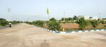 150 Sq.Yd. Plot in Maisireddipalle