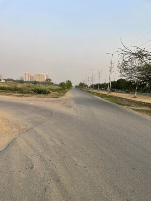 Plot Area in  Plot at Paramount Golf Forest Studio Apartments Phase 2 -, Zeta I Greater Noida – for Rent