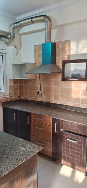 Kitchen in 2 BHK Apartment at Amrapali Eden Park, Sector 50 – for Rent