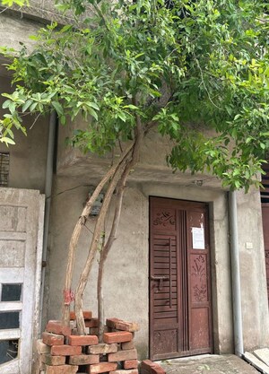  Independent House For Sale in Sarojini Nagar