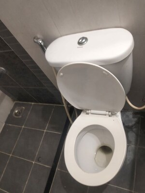 Bathroom in 2 BHK Apartment at Pharande Celestial City, Ravet – for Rent