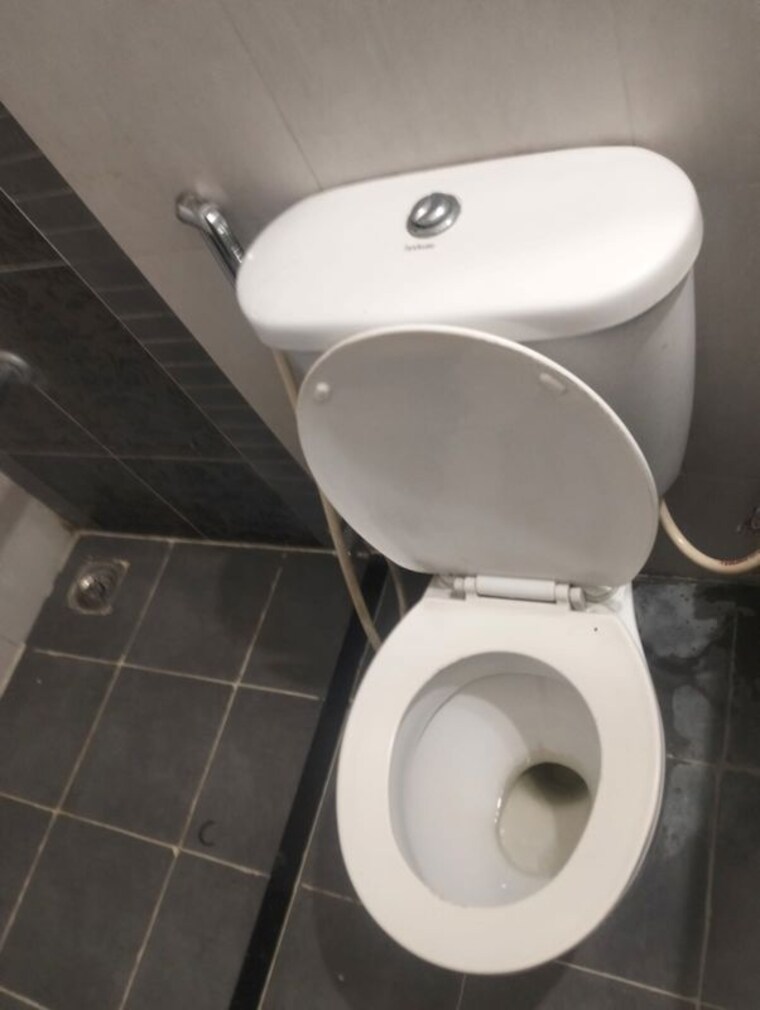 Bathroom, pharande-celestial-city 2 Bedroom 950 Sq.Ft. Apartment In Ravet Pune 10548906