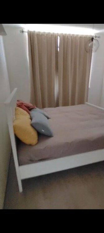 2 BHK Apartment For Rent in House of Hiranandani Devanahalli in Devanahalli, Bangalore