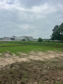 Plot For Sale in Harhua