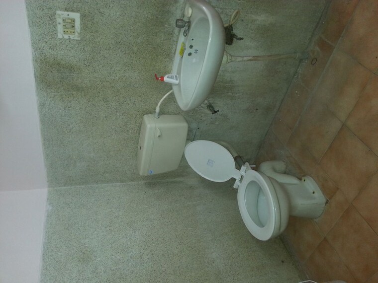 Bathroom, rt nagar 2 Bedroom 740 Sq.Ft. Independent House In Rt Nagar Bangalore 10549258