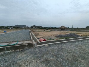Plot Area in  Plot at Peda Palakaluru – for Sale