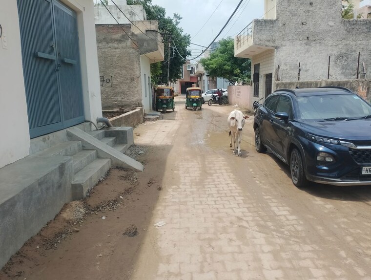 undefined, maruti kunj  50 Sq.Yd. Plot In Maruti Kunj Gurgaon 10549647