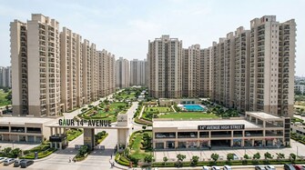 3 BHK Apartment For Sale in Gaur 14th Avenue High Street in Sector 16c Greater Noida, Greater Noida
