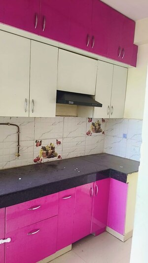 Kitchen in 2 BHK Apartment at Windsor Paradise 2, Raj Nagar Extension – for Rent