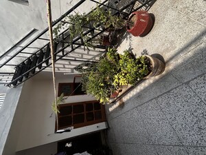 Terrace in 6 BHK Independent House at Sector 9 – for Sale