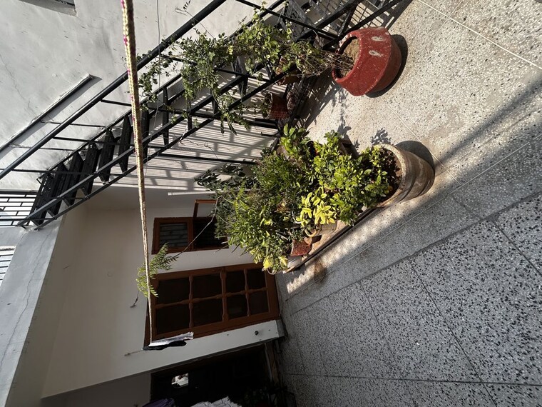 Terrace, sector 9 6 Bedroom 250 Sq.Yd. Independent House In Sector 9 Faridabad 10491344