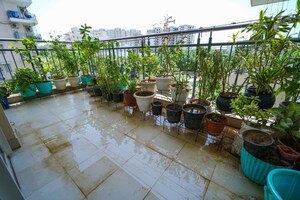 Balcony in 3.5 BHK Apartment at Godrej 101, Sector 79 – for Sale