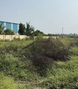 Plot Area in  Shop at Shirur – for Sale