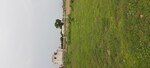 100 Sq.Yd. Plot in Dhanauli