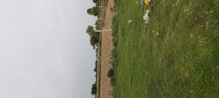 undefined, dhanauli  100 Sq.Yd. Plot In Dhanauli Agra 10550697