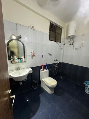 Team Area in 3 BHK Builder Floor at Sector 21 – for Rent
