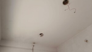  Shop – Exterior View View at Transport Nagar - for Rent