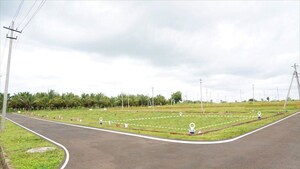 Plot Area in  Plot at Sector 77 – for Sale