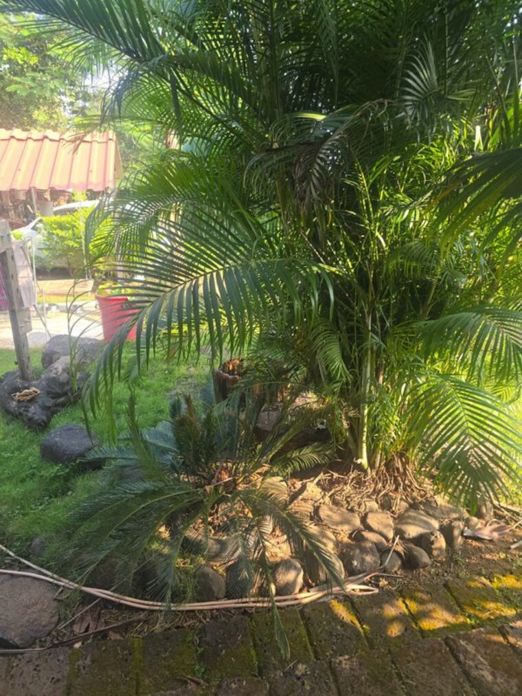 undefined, lower govind nagar Commercial Land 1873080 Sq.Ft. In Lower Govind Nagar Mumbai 10551165