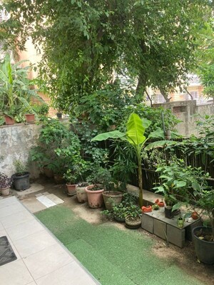 3 BHK Apartment – Exterior View View at KLJ Greens, Sector 77 - for Sale